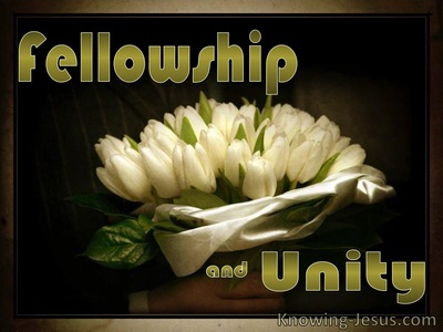 Fellowship and Unity - Study in Prayer (5)